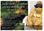 Gipsy Swing Konzert am Bacherlbeach