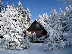 Bild 1 wird geladen...